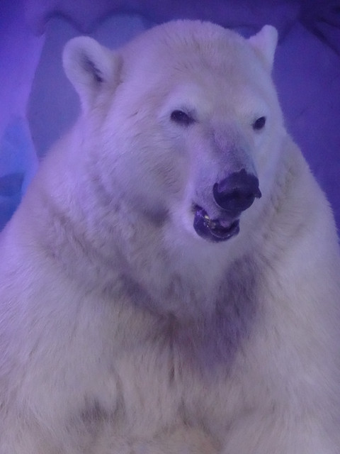 DSC09991.jpg
