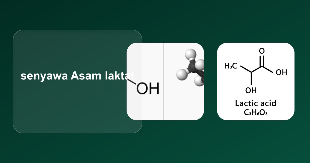 Asam Laktat: Mekanisme Absorpsi, Lipofilisitas, dan Metode Identifikasi Kualitas