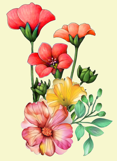 92850b5751bfa79663bbf20e4bb541e6.png