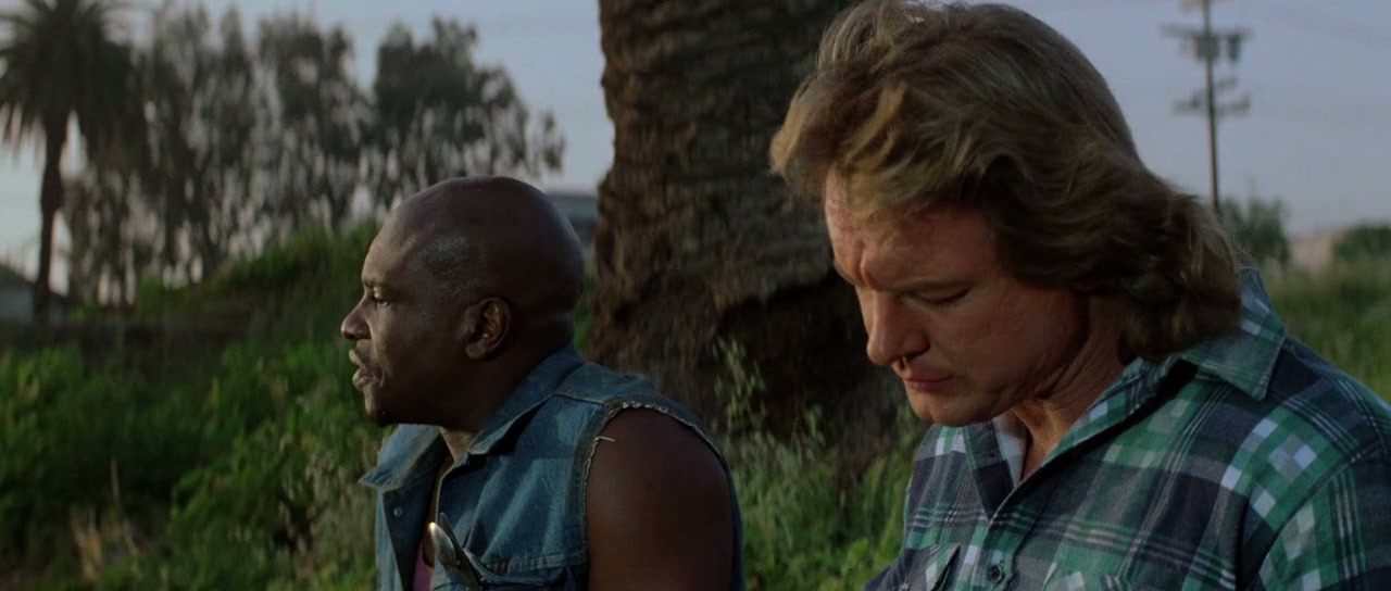 They Live Screenshot