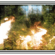 S5.gif