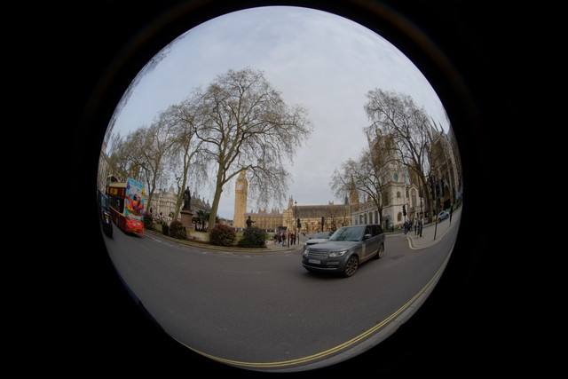 DSCF8847.jpg