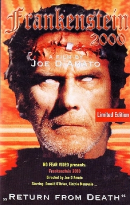 Poster: Frankenstein 2000 (1992) DVDRip