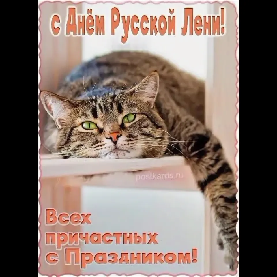 https://i.ibb.co/pBXY8Jyp/IMG-5349.webp