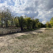 IMG 0359