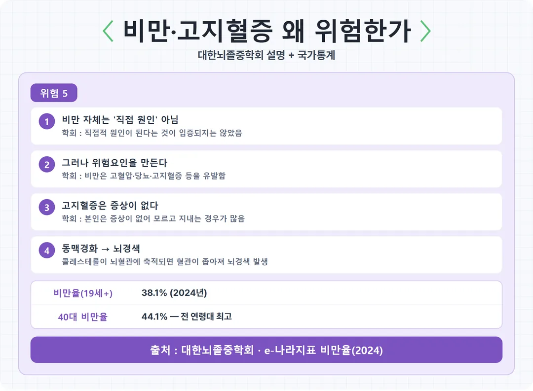 비만과 고지혈증이 뇌졸중으로 이어지는 경로 카드