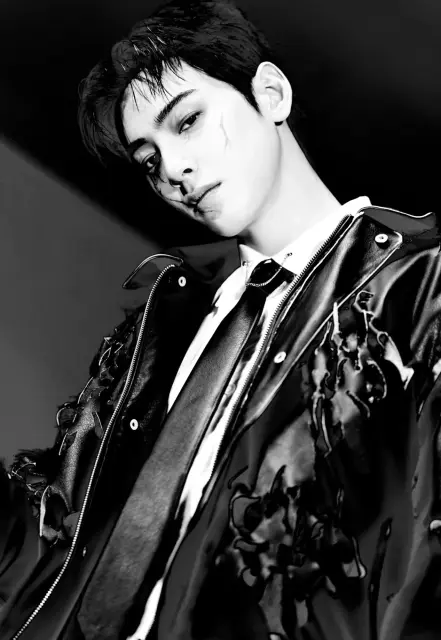cha eun woo 1395940.webp