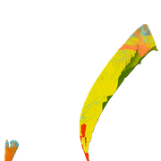 29 556979