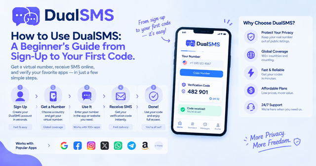 How to Use DualSMS: Beginner Guide