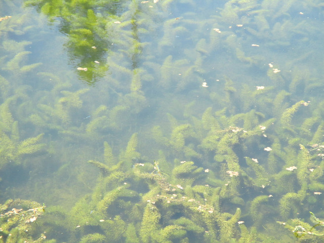 IMG 3670.jpg