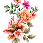 5c0bb88da17e5bc922c03629c370dc05