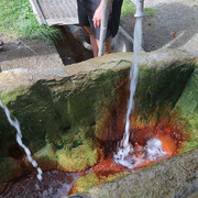 IMG 0242
