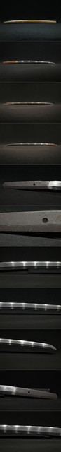 DSC3614