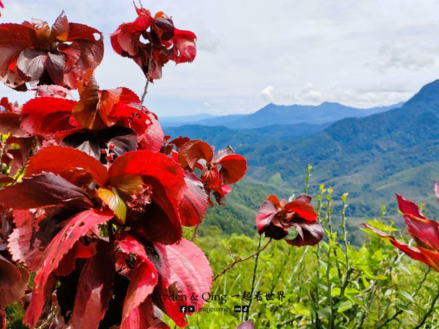Peranggo View Point2.png