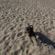 IMG-8141