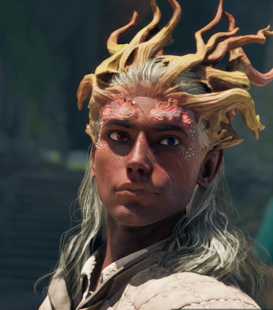 3.png