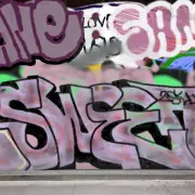 Graffiti artwork by bones