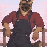 image-16