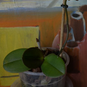 DSC-0498