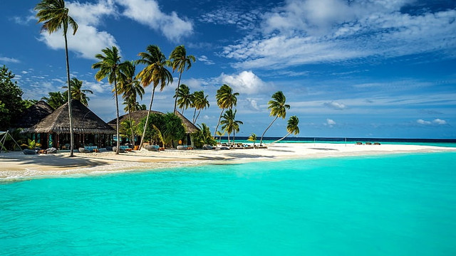 maldivi
