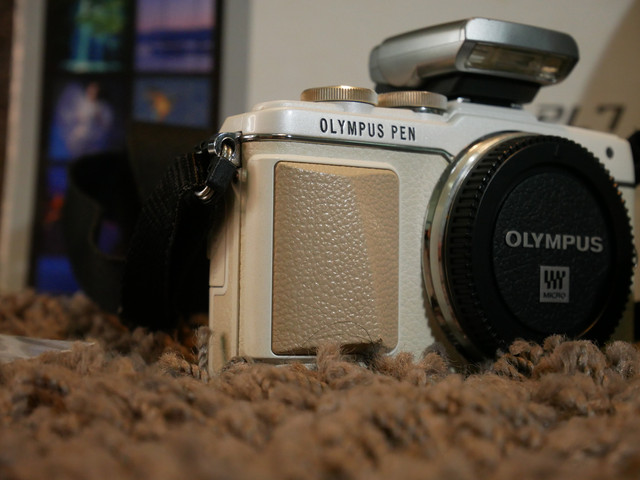 IMG-4606