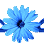 0-46070-4b53dc01-M