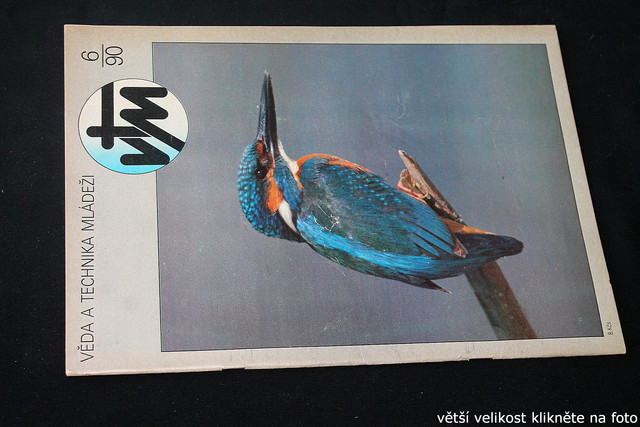 IMG-3569.jpg