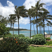IMG-3923