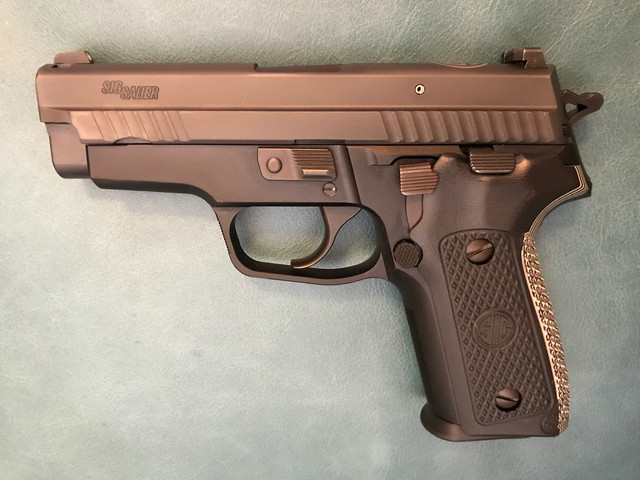 P229.jpg