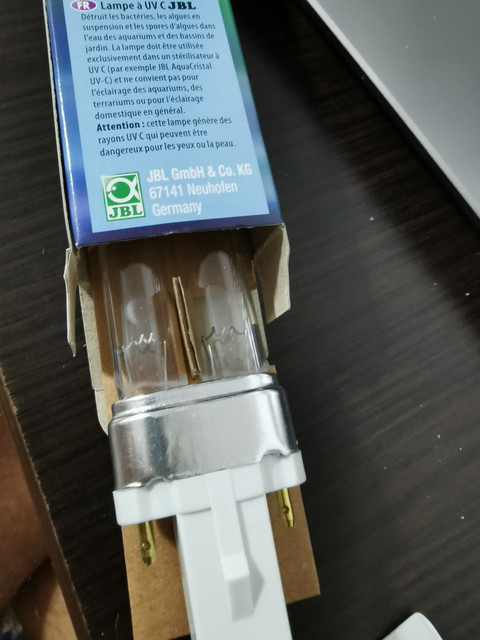 l1