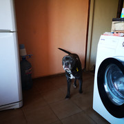 IMG-20220219-105121