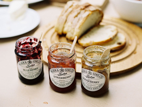 tumblr-nqgdzkr4om1tmkea9o3-500