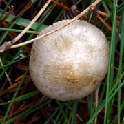 DSC00056