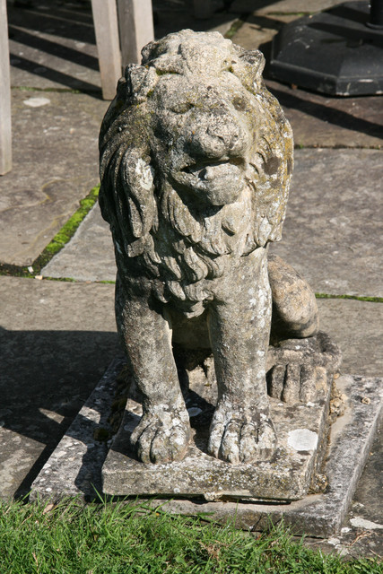 IMG 6285.jpg