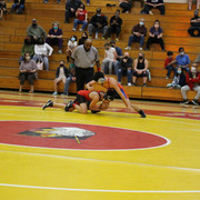 IMG-0285