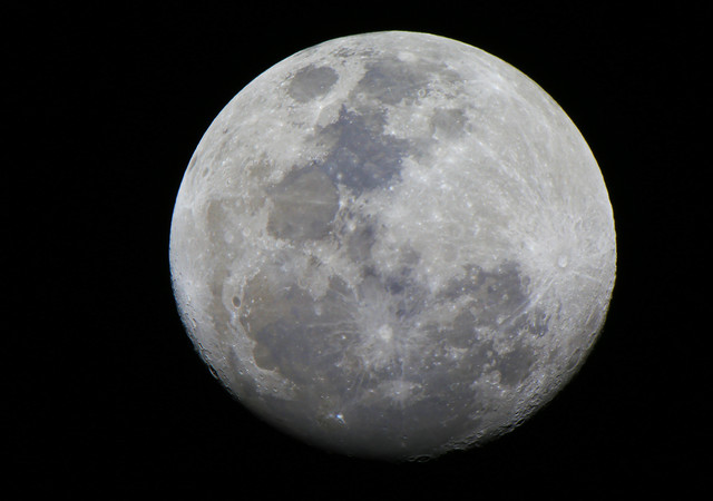 100f00710m1.jpg