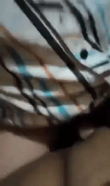 received-1034337154192592-3.gif