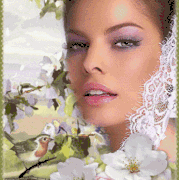 17.gif