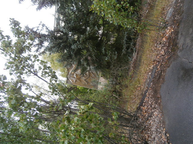 OLYMPUS-DIGITAL-CAMERA.jpg