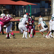 IMG-3128