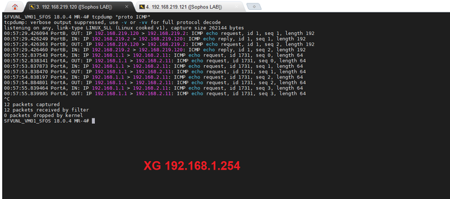 XG1-1