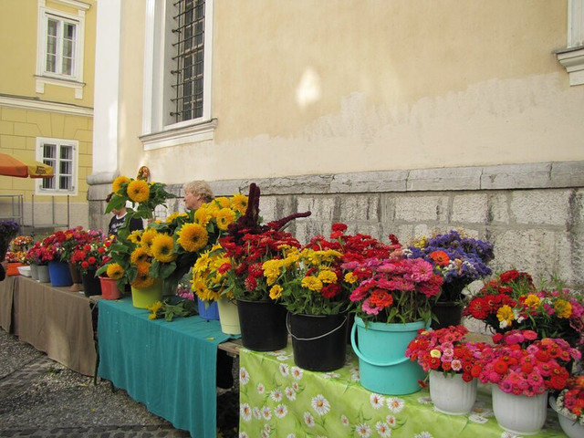 IMG-3819