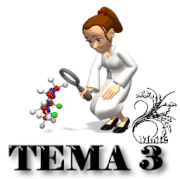 TEMA3