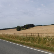 DSCF6183