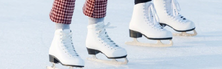 Synthetic-Ice-Surface