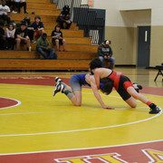 IMG-0293