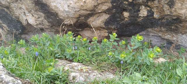 IMG-20240505-112833