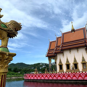 IMG-1514