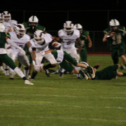 IMG-6631