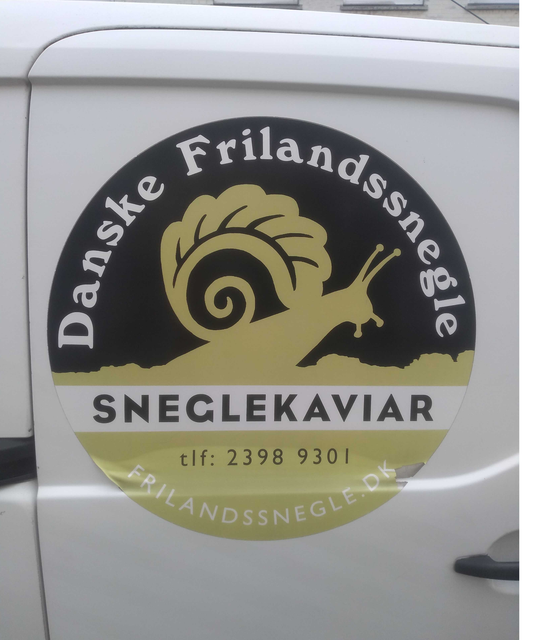 Udklip